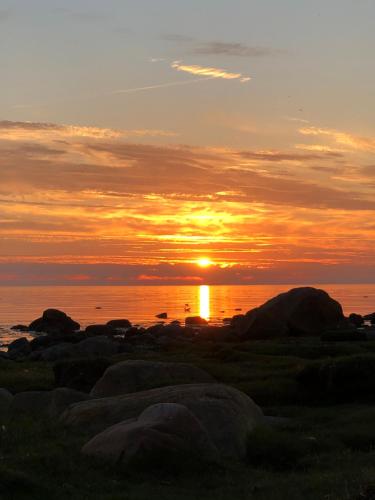 Havsnära lantligt boende