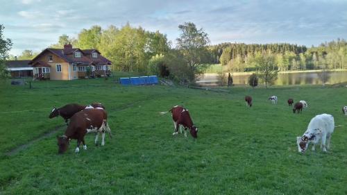 Vackert och fridfullt i jordhus, 90 kvm